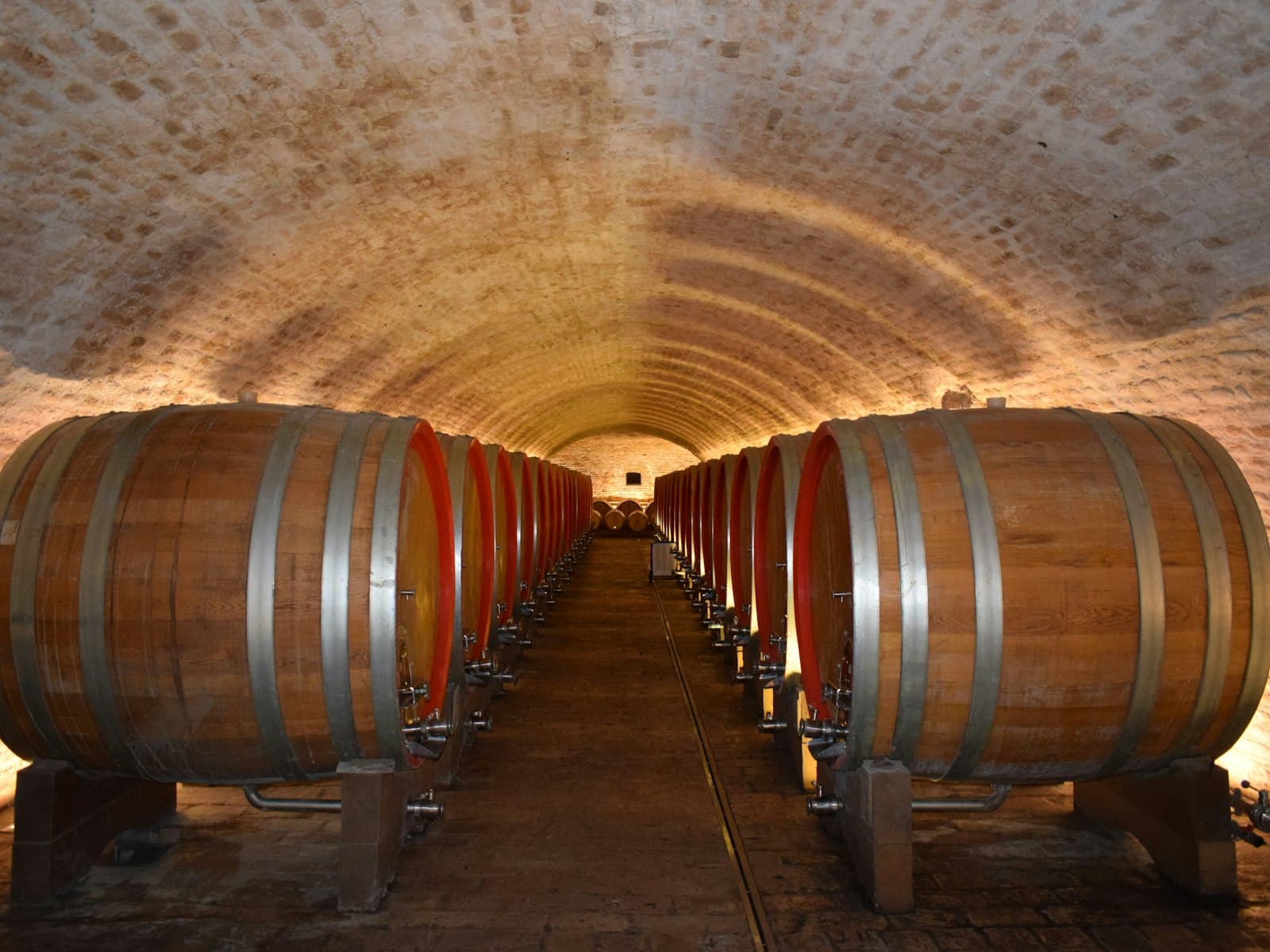 Botti di legno allineate in una cantina con volta in mattoni